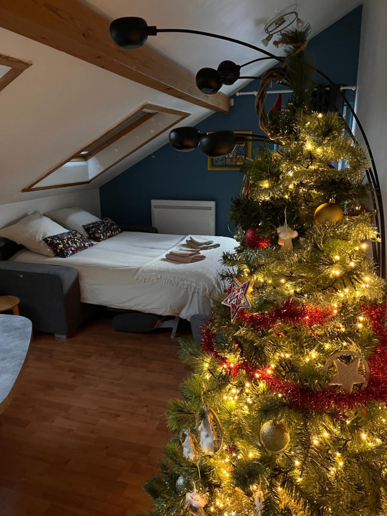 Apartment Cigogne Et Bretzel